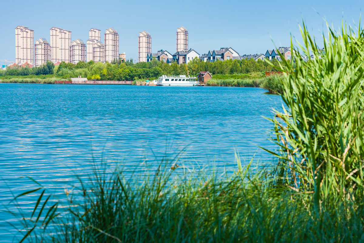 天津兴起是因为港口,那时候天津港口在解放桥金刚桥,现在已经在塘沽了