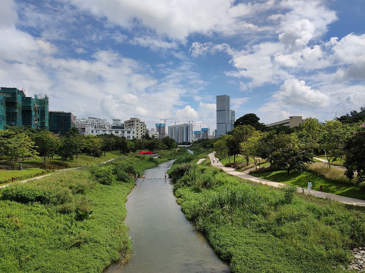 深圳南山大沙河,河水清澈風景秀麗,景觀太出眾了