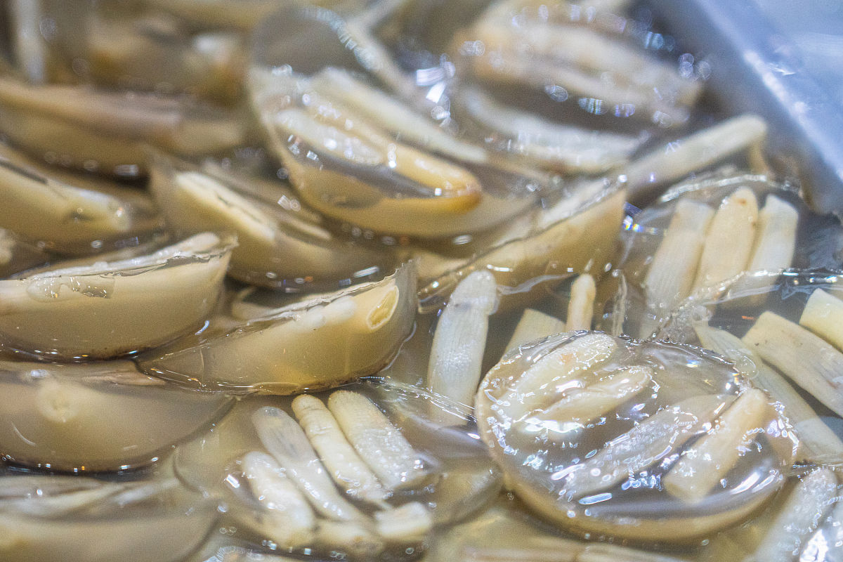 福建省泉州市安海土笋冻