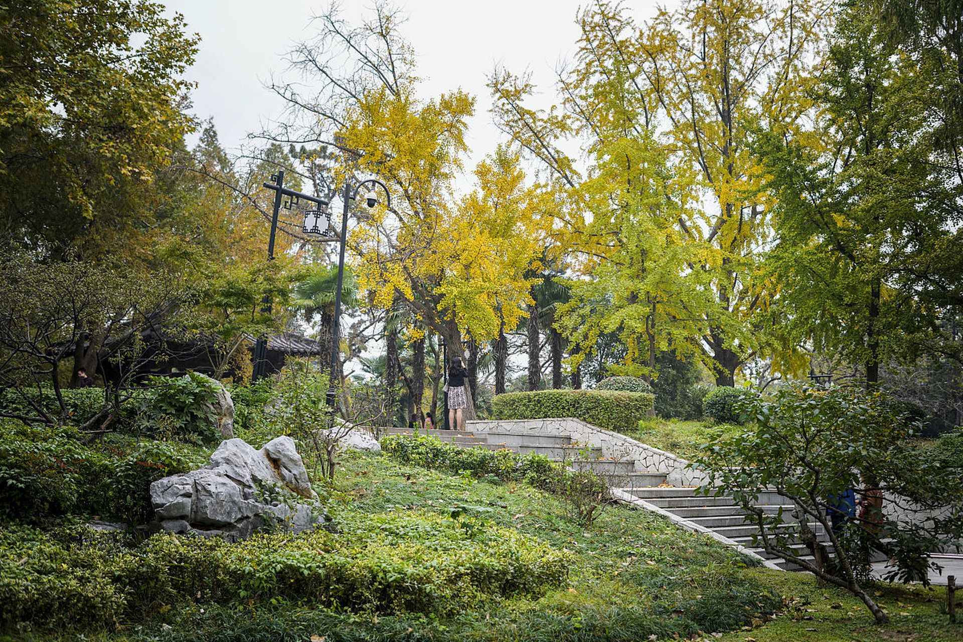 南京古林公园,坐落于鼓楼区清凉山北面,占地约400亩,其中大部分是郁郁