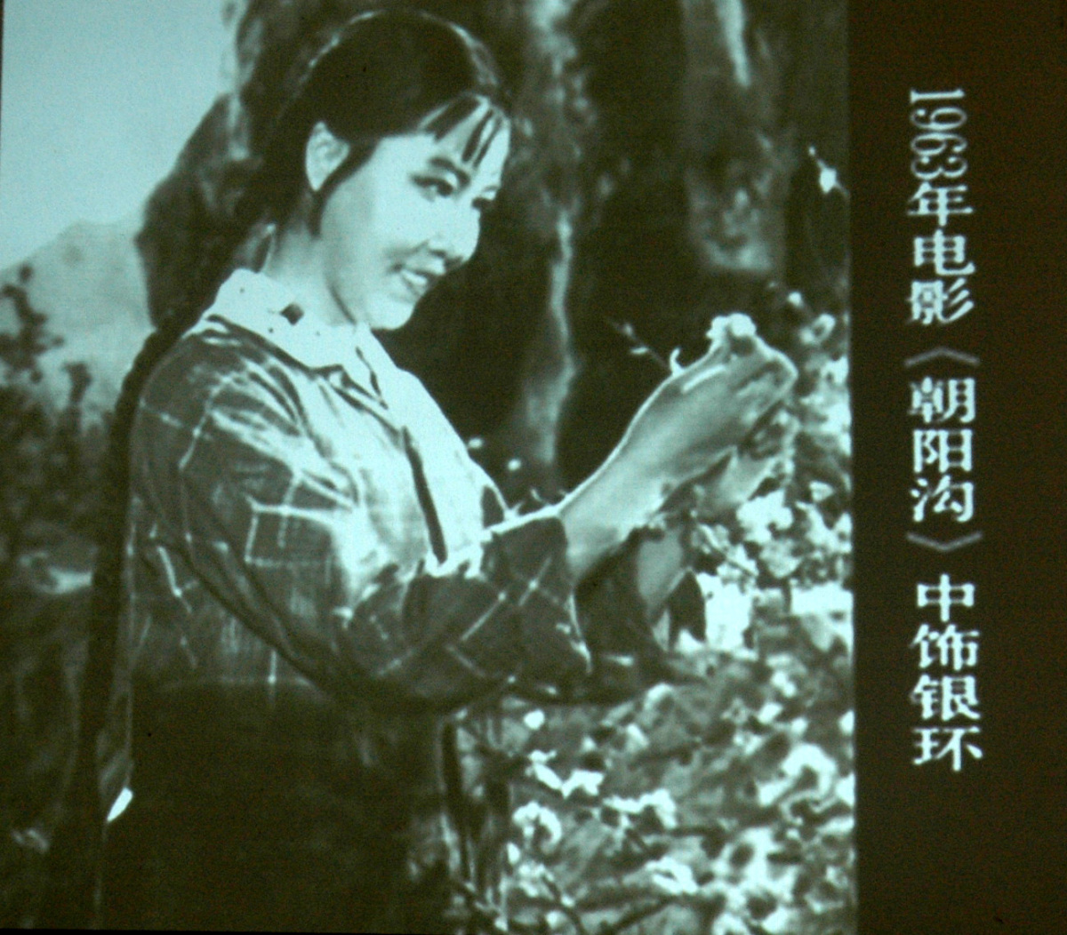 《朝阳沟》之后,经典何处寻?