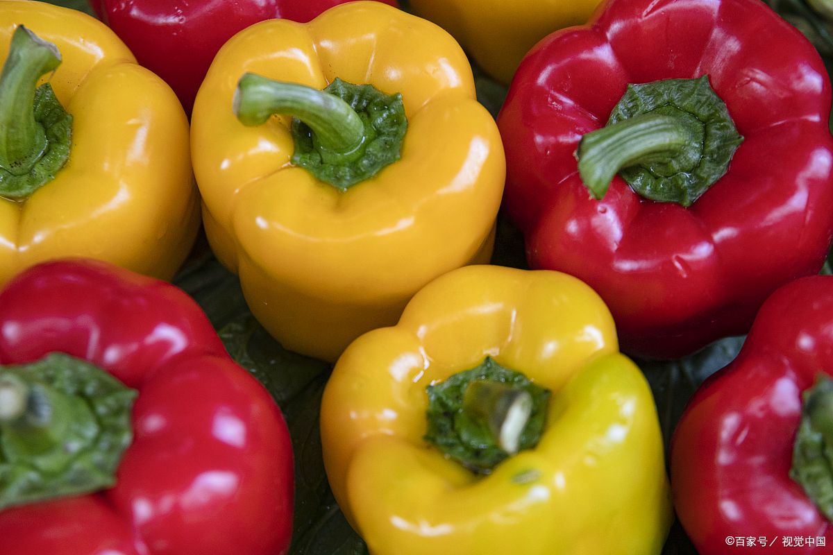 这些丰富的颜色并非转基因的结果,而是由于彩椒中含有不同类型的天然