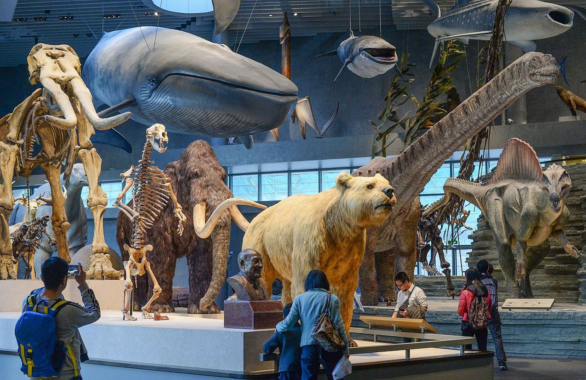 自然博物馆作为杭州的瑰宝,源自西湖博物馆,诞生于1929年,如今已独立