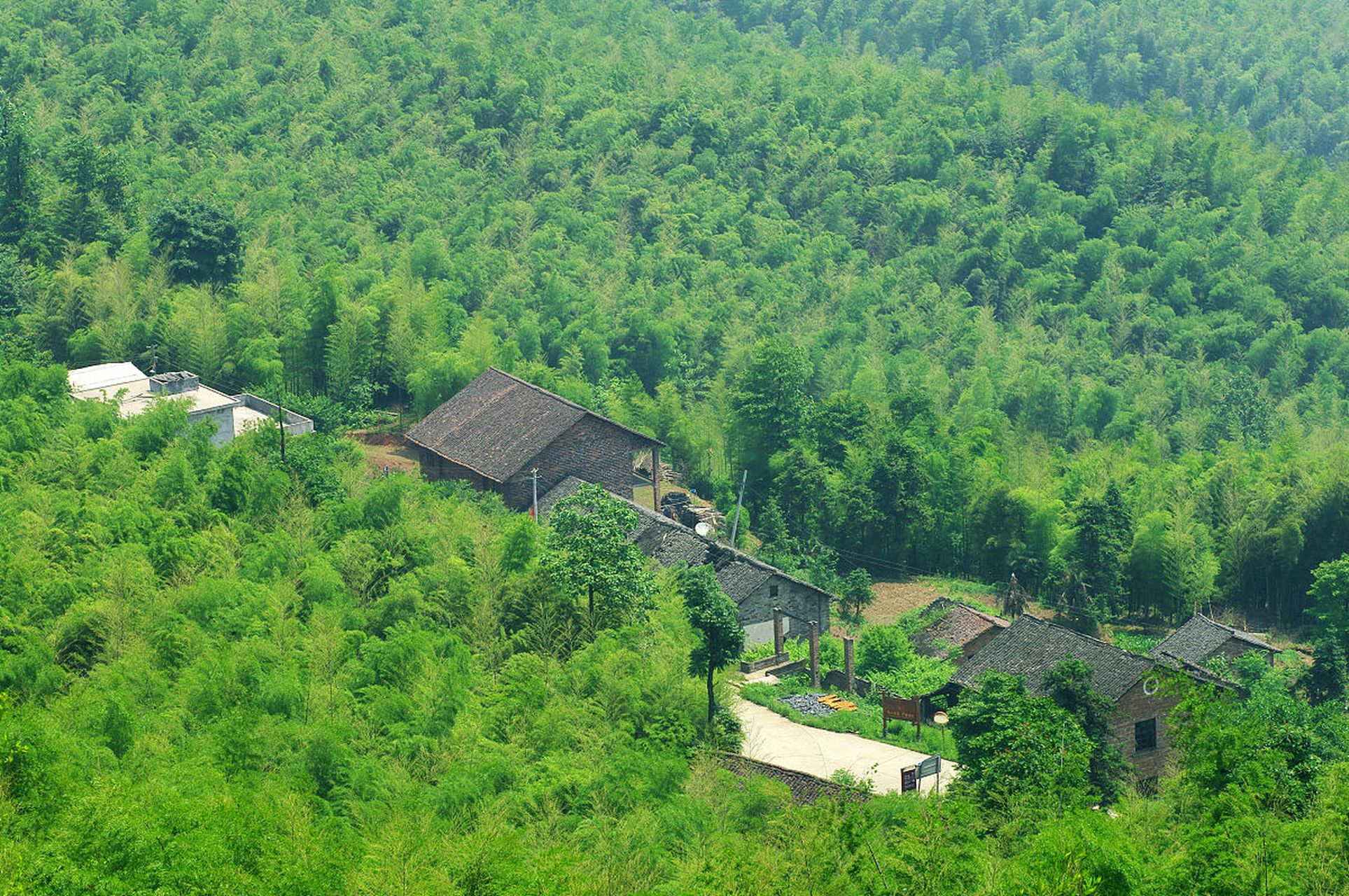 重庆永川茶山竹海,探秘绿意盎然.@川渝周边游的动态