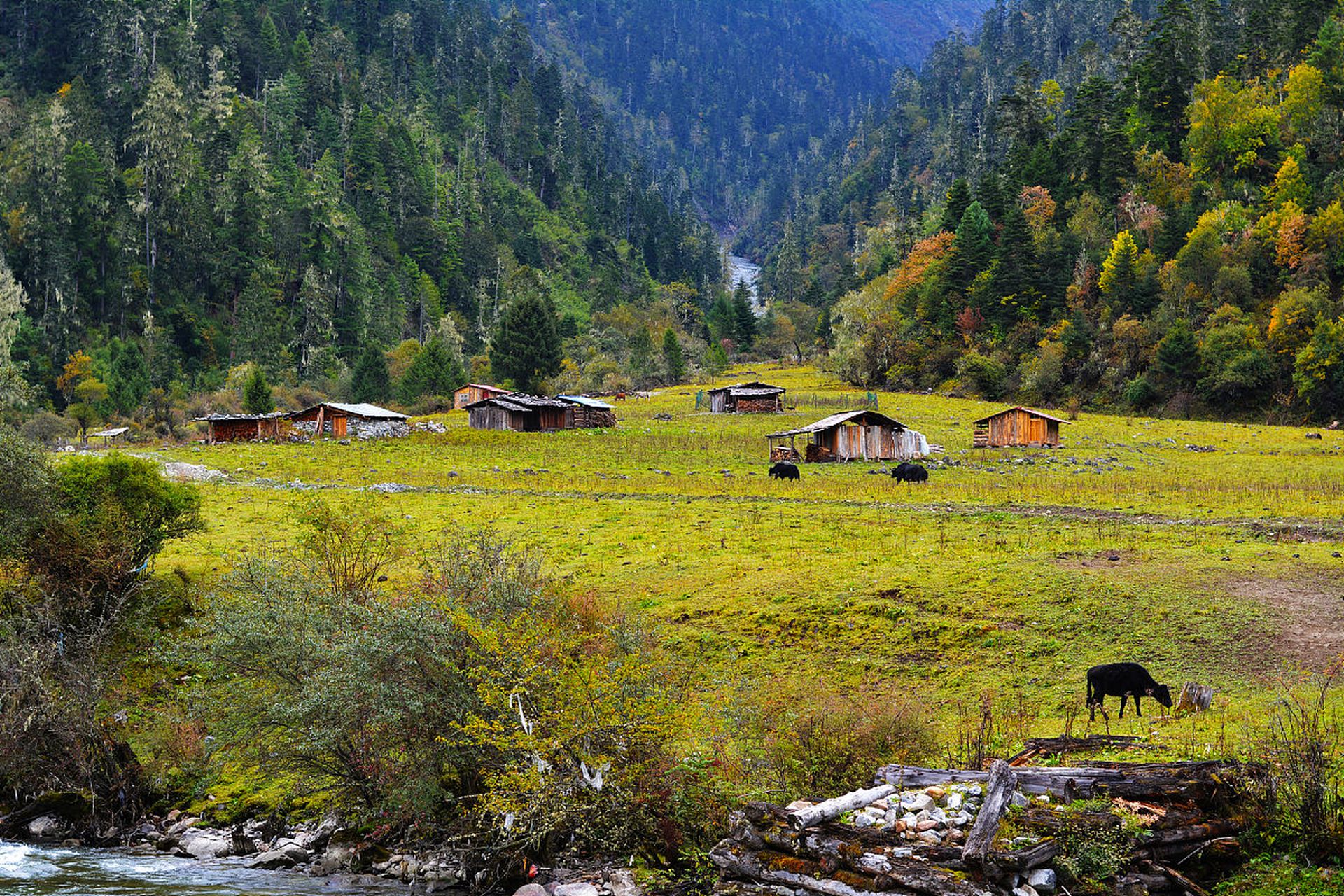 南伊沟:位于西藏林芝市米林市南部的南伊珞巴民族乡境内,是纳伊普曲