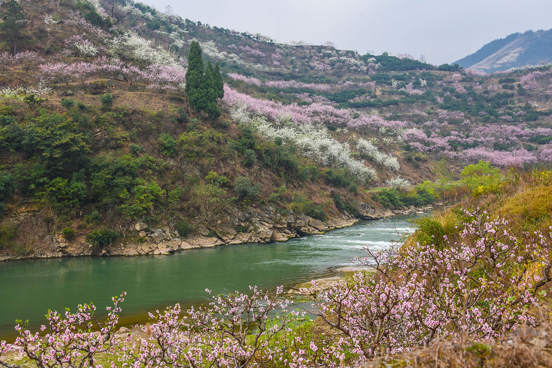 乐享周末分享吧# 浙江舟山桃花岛风景区拥有六大景区,包括桃花峪