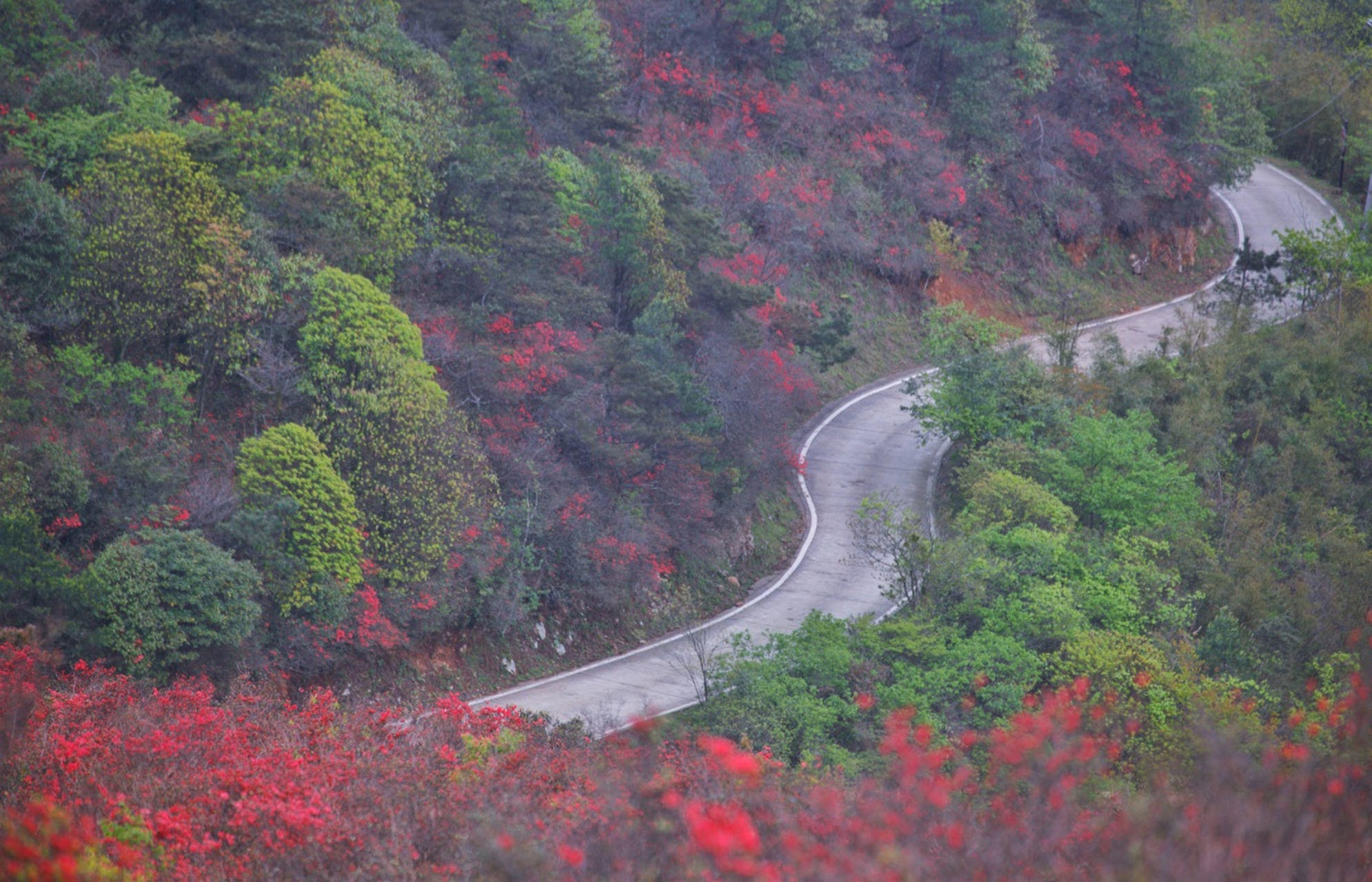 湖南永州阳明山:这是一座位于湖南省永州市的国家级森林公园,有着优美