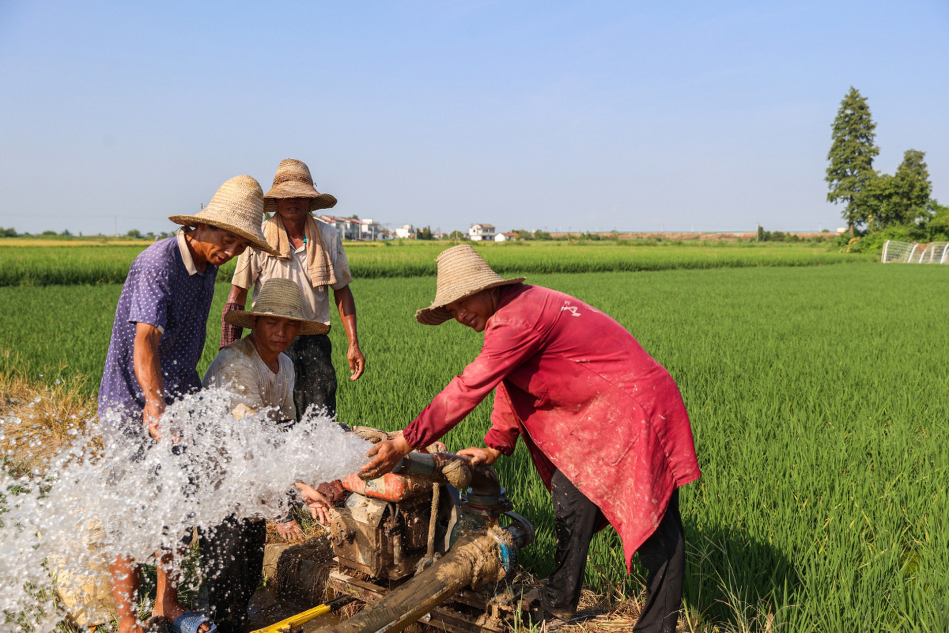 农村村民因天旱在自己家农田里打水井灌溉浇地,结果农