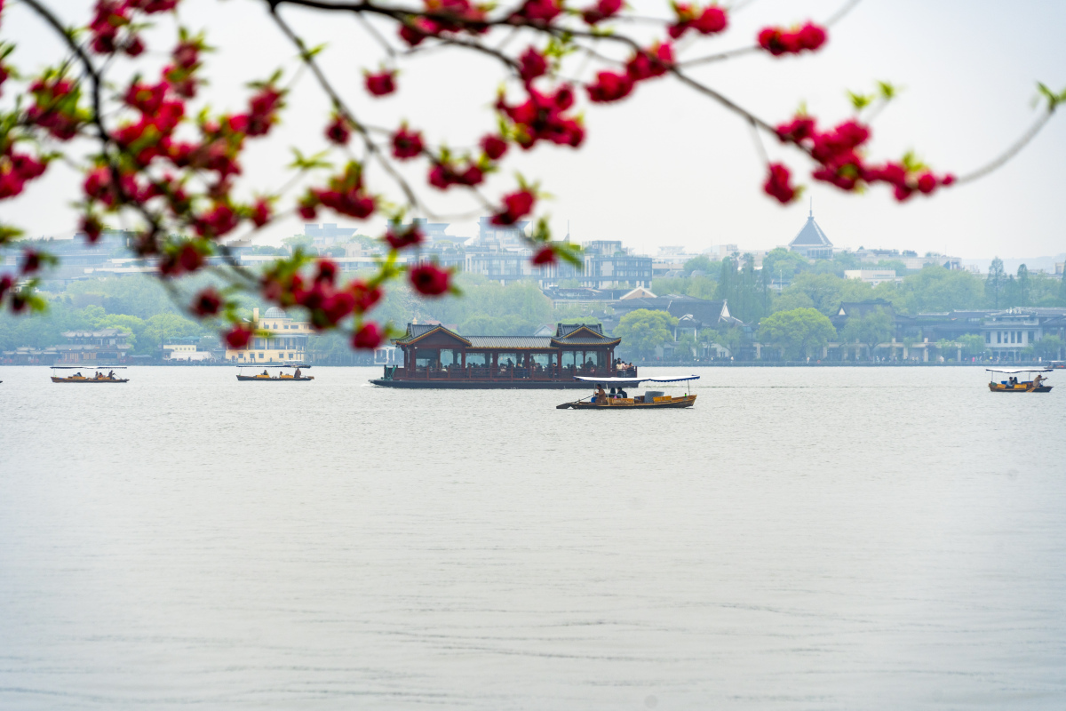 苏堤春晓是西湖十景之一,也是西湖上的一道妩媚风景线.