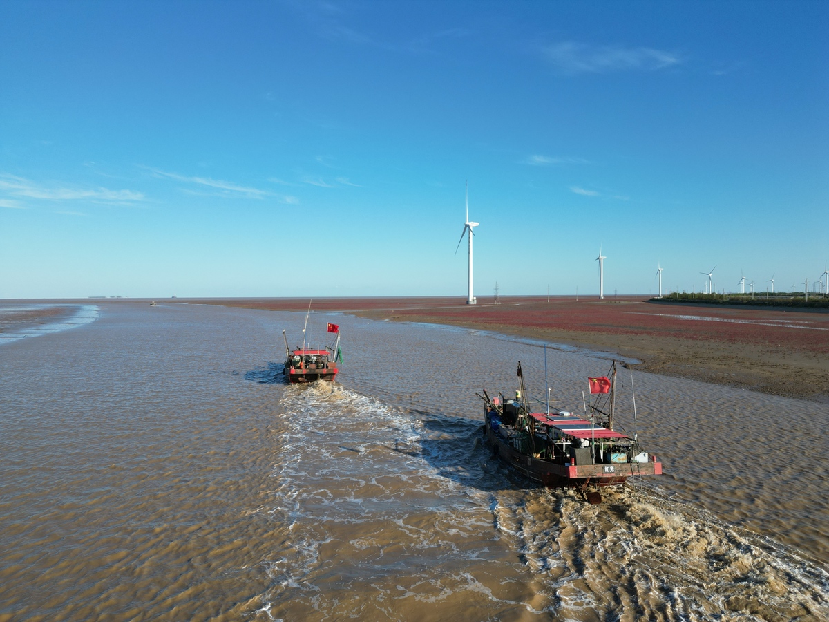 周一中午,女儿打来电话.我刚想午睡,连忙下床,坐到沙发上接了电话