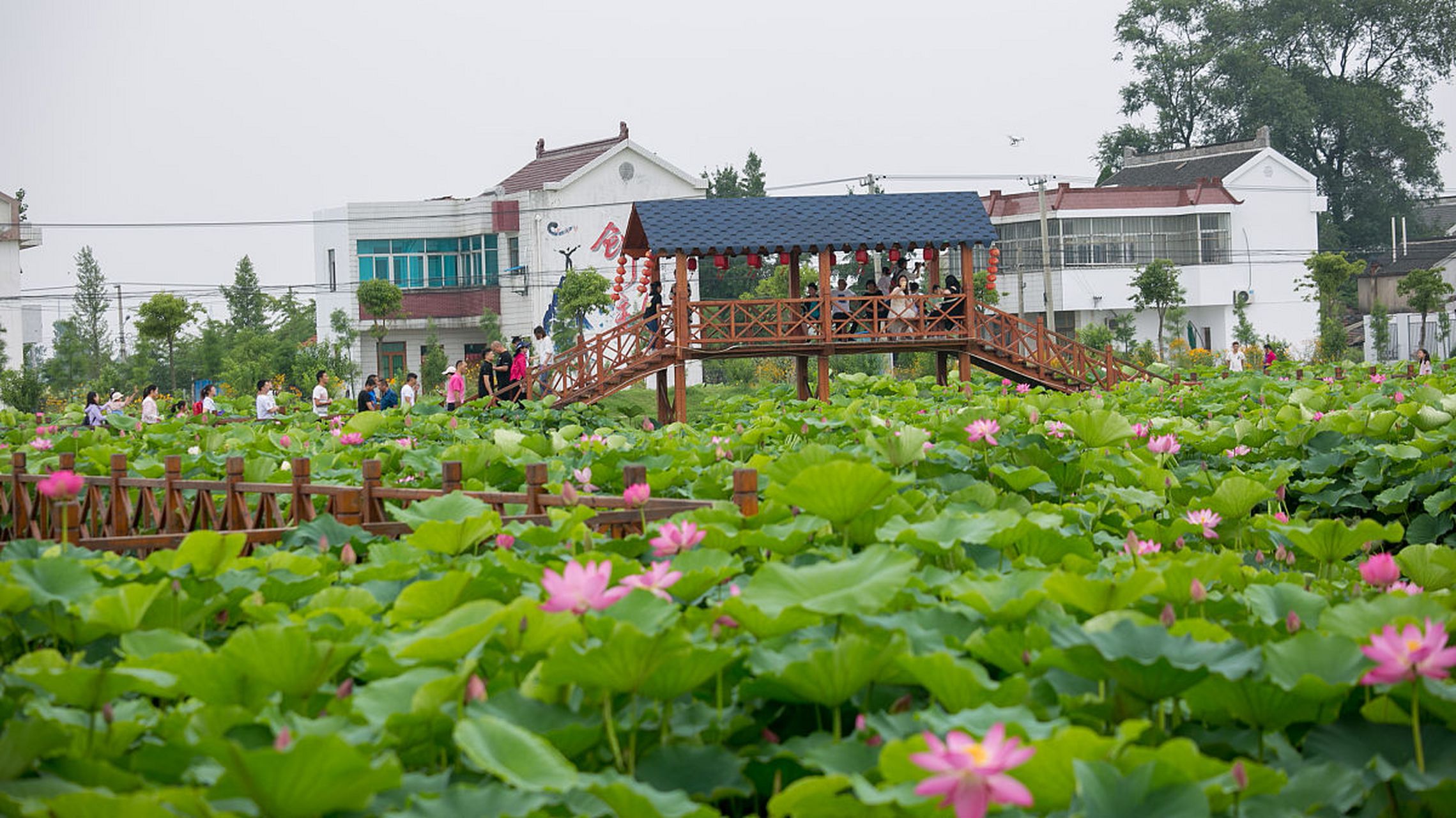 重庆大足荷花山庄图片