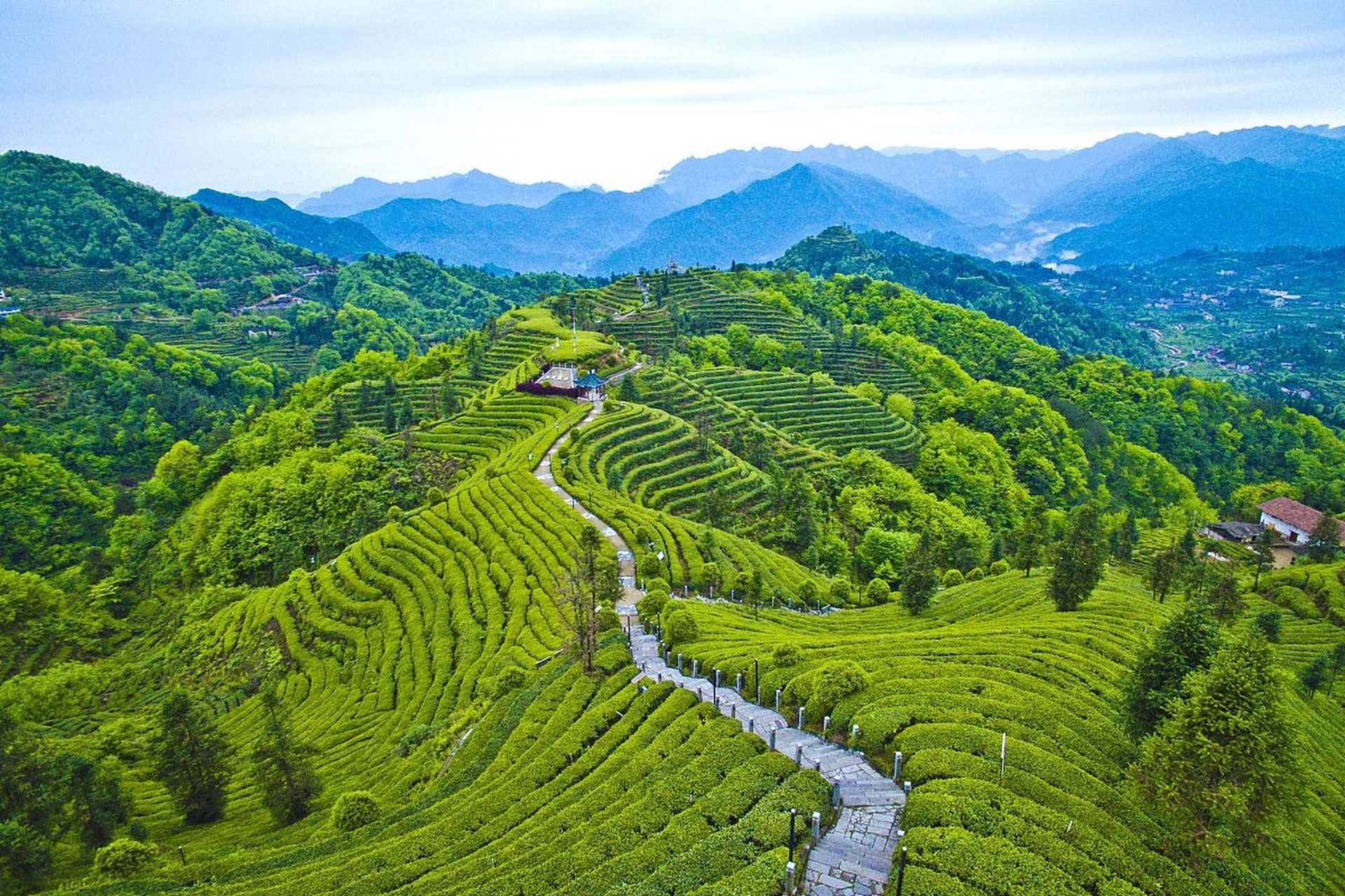 梅州雁南飞景区简介图片