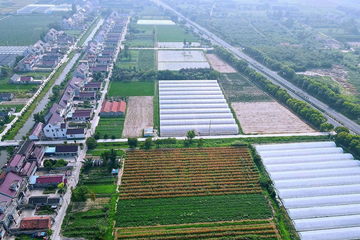 碎片化大包干耕地,与集体化耕地相比更有优势?