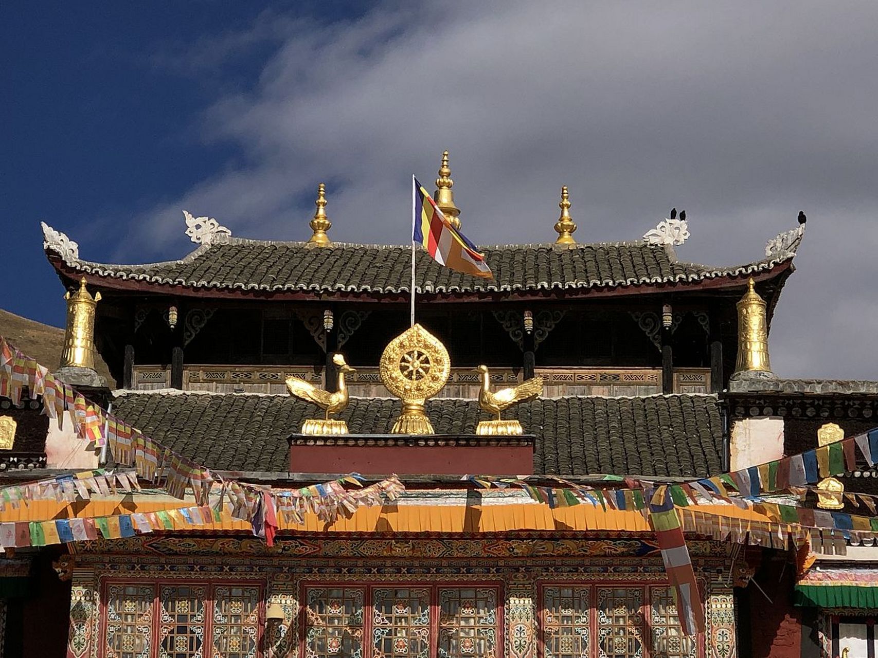 塔公寺位于甘孜州,是萨迦派(花教)的一个重要寺庙,拥有千年的历史.