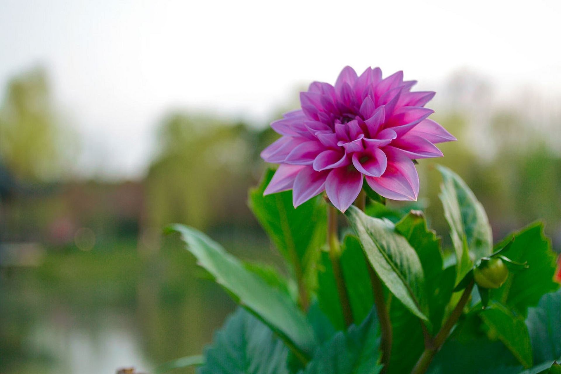 半生已过,赚到了一颗看淡一切的心.