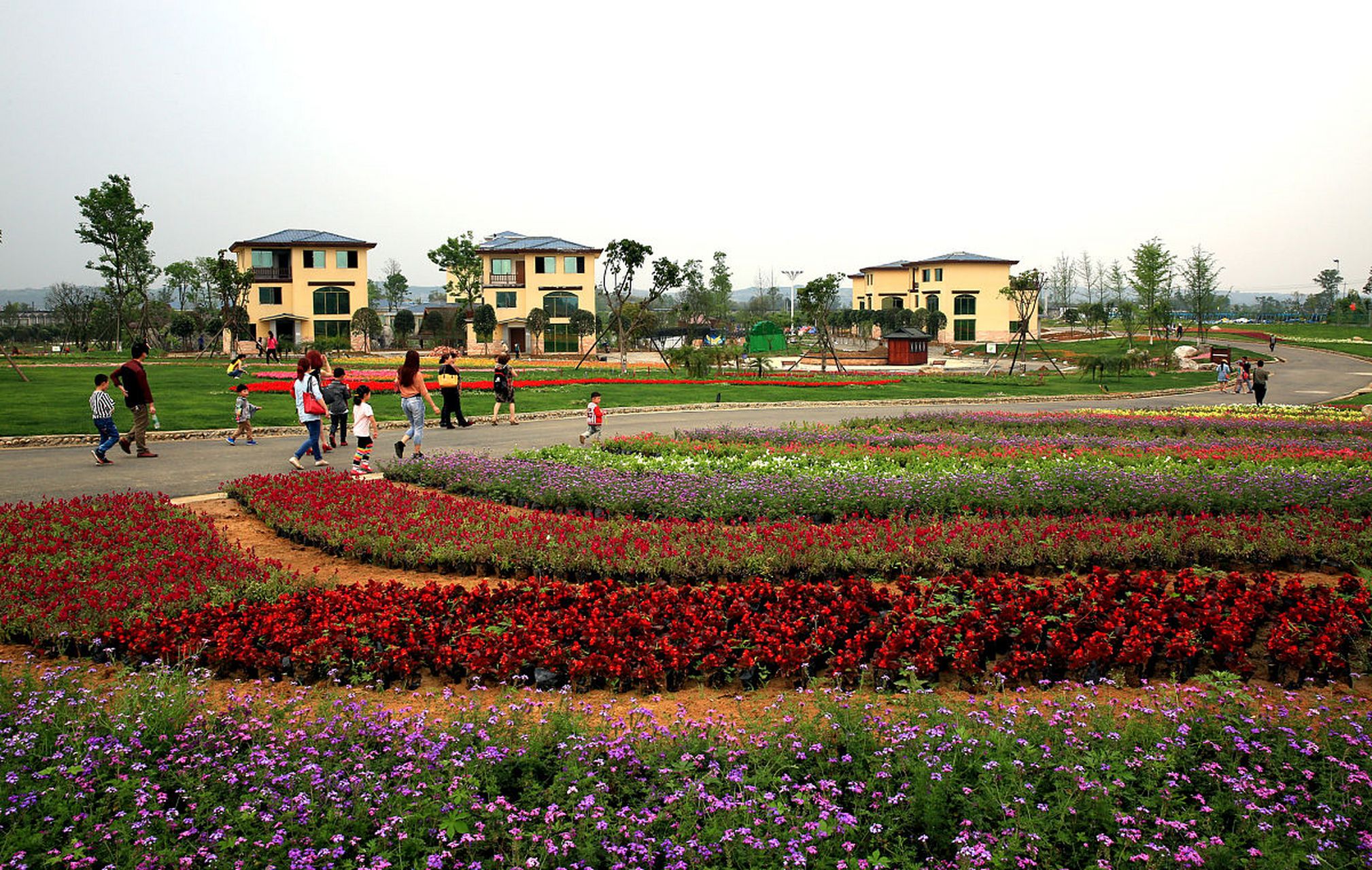 铜梁黄桷门奇彩梦园是一个综合性现代农业园区,它充分利用了优美的