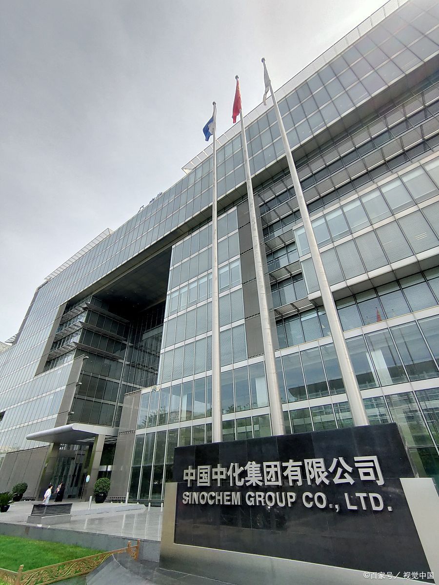 有两家实力强劲的"巨头"公司——中石化和中化石油