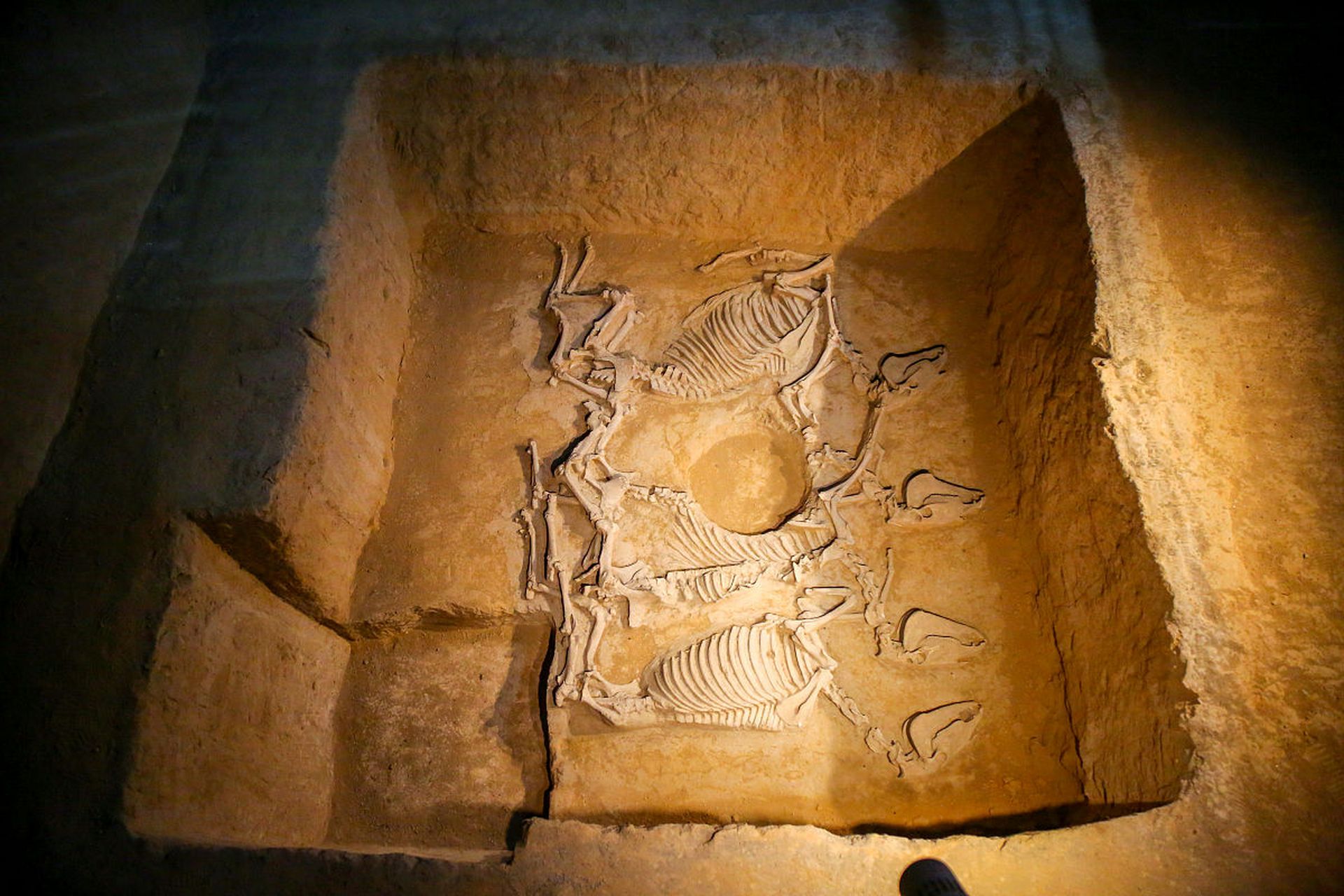 鱼凫王墓位于寿安乡火星村,俗呼"大墓山",距新修的温玉路约200米.