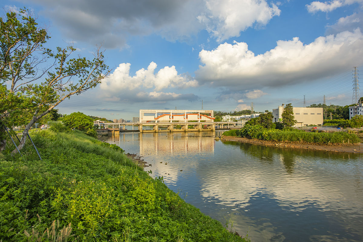 深圳观澜河湿地公园