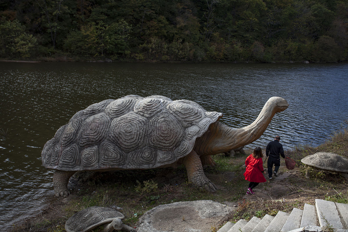 碧波深处,一甲沉浮.海龟驮着千年月光,在珊瑚林间划出银痕