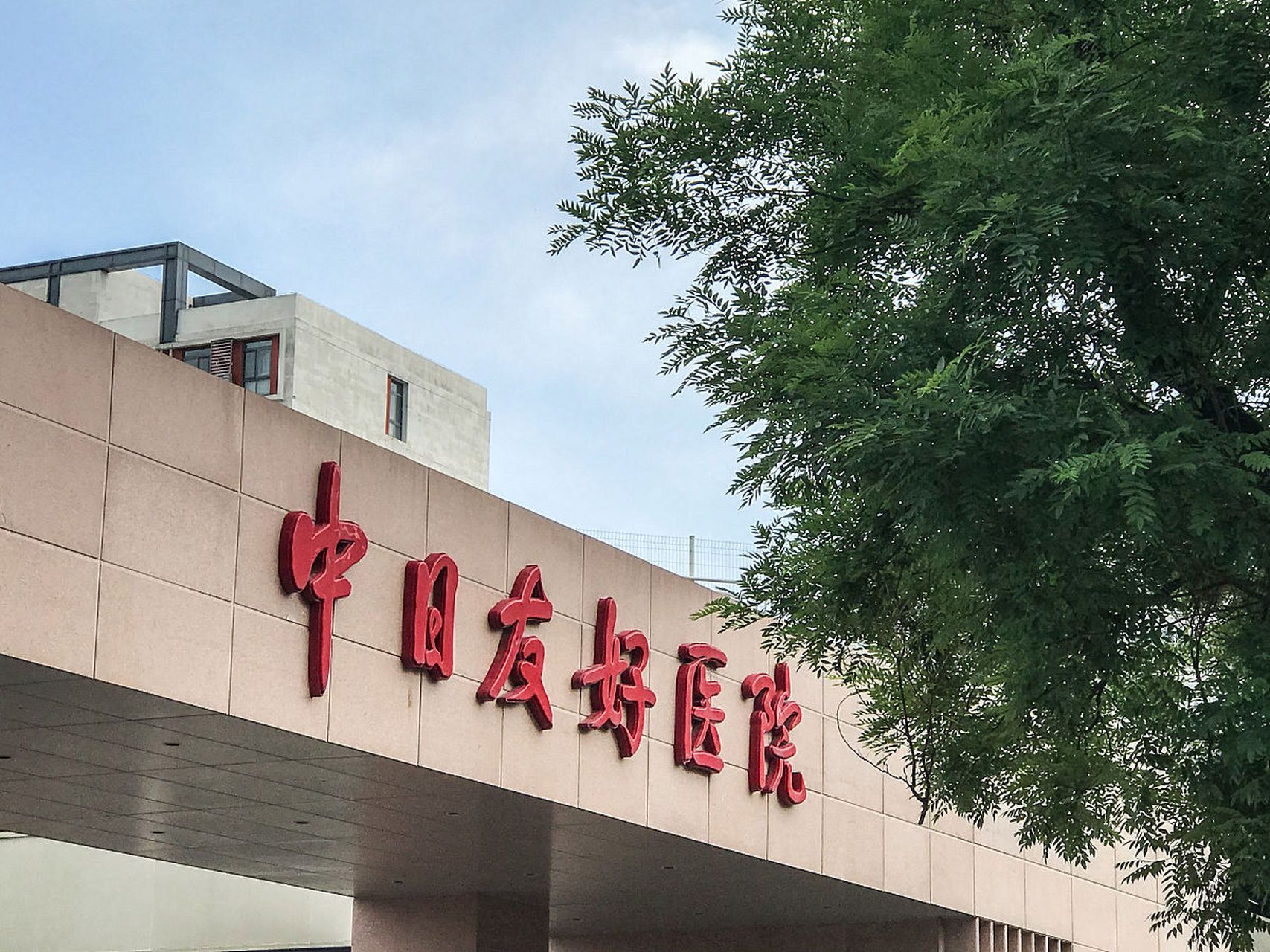 關于中日友好醫院、醫院跑腿代辦延慶區掛號號販子聯系方式各大科室全天的信息