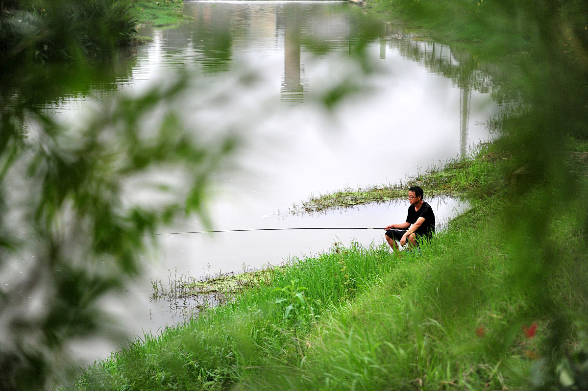 忽闻柳外吴歌起,万点银鳞跃