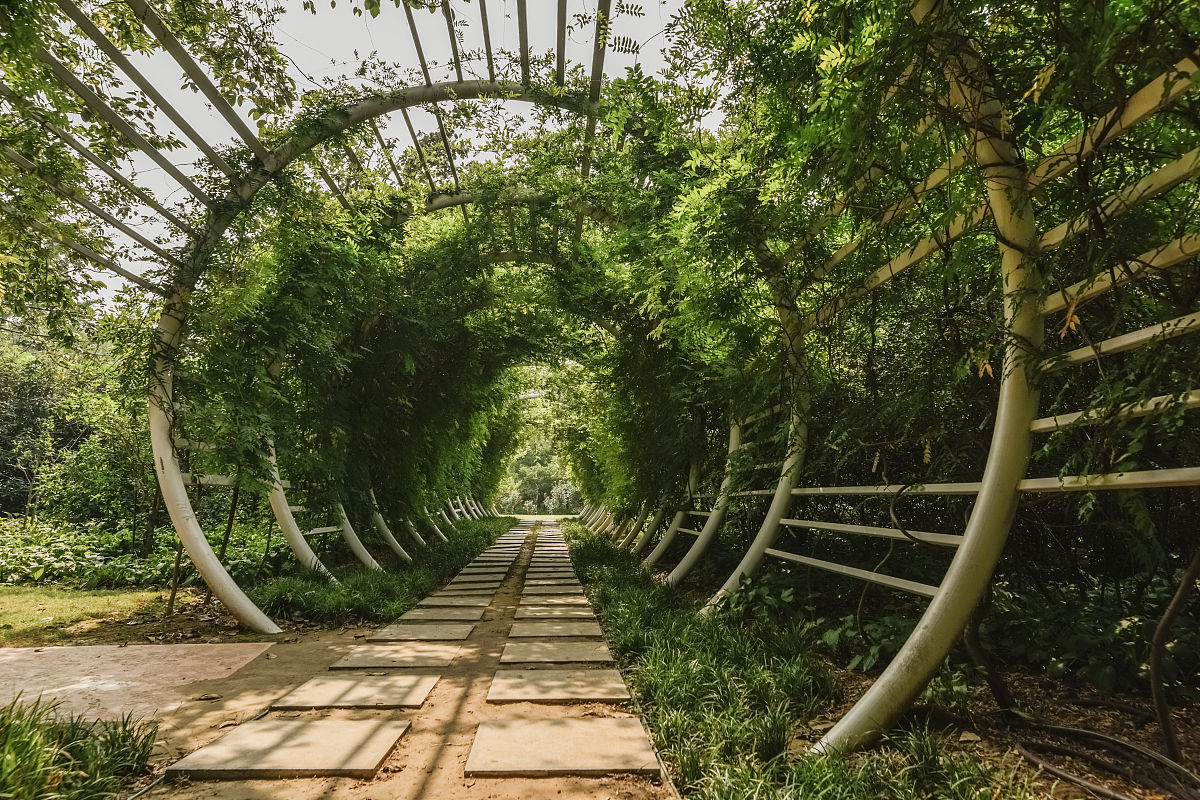 郑州植物园图片大全图片