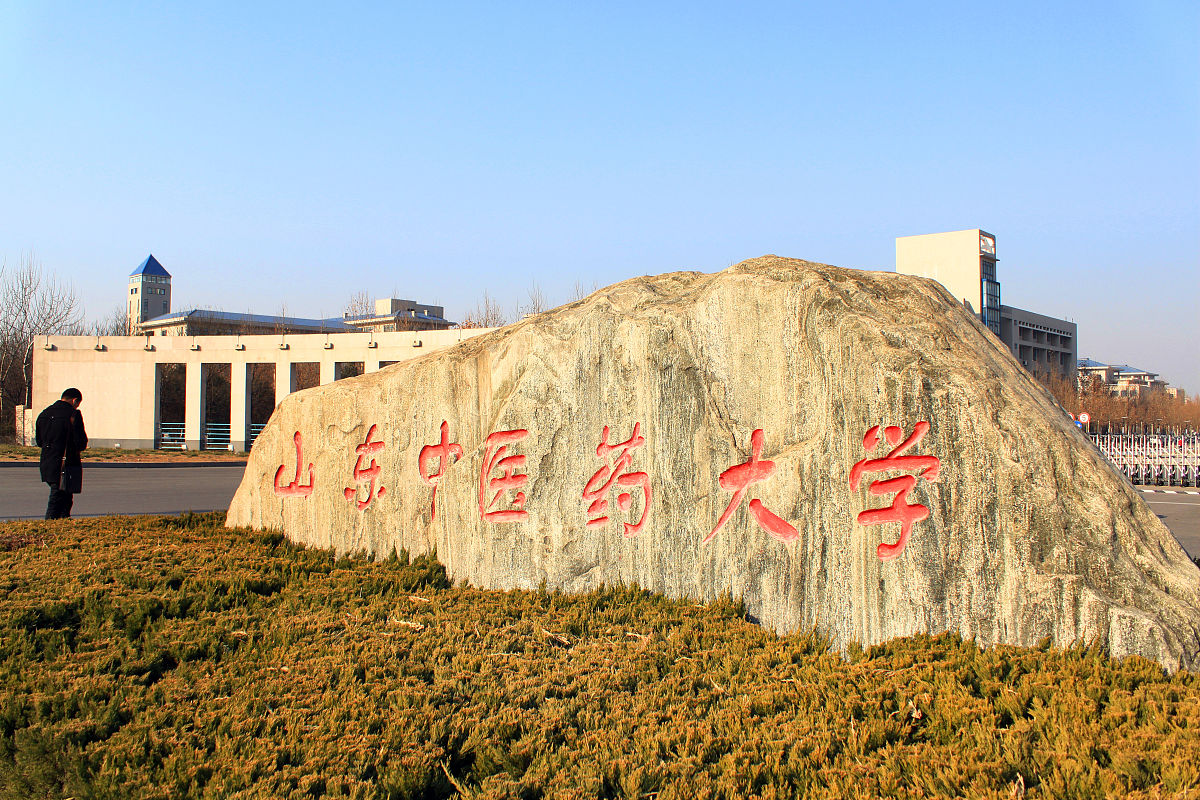 北京中医药大学(北京市)北京中医药大学是中国最著名的中医药大学种 