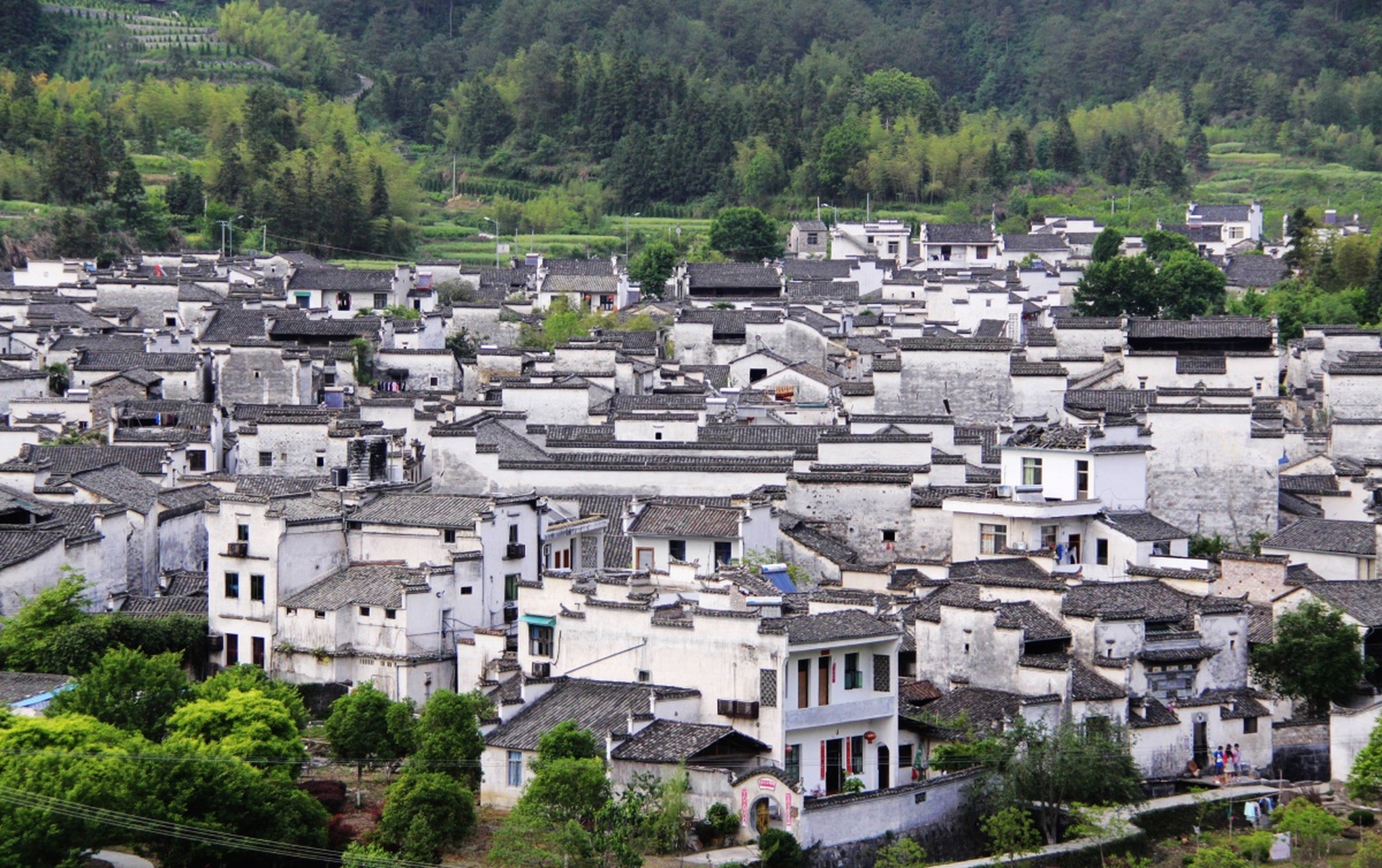 走进徽派建筑,感受白墙黑瓦的泼墨魅力.