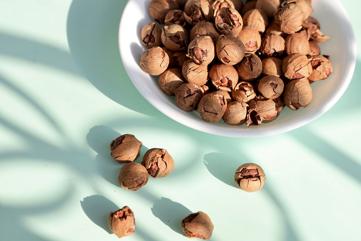 四川省通江特产——空山核桃