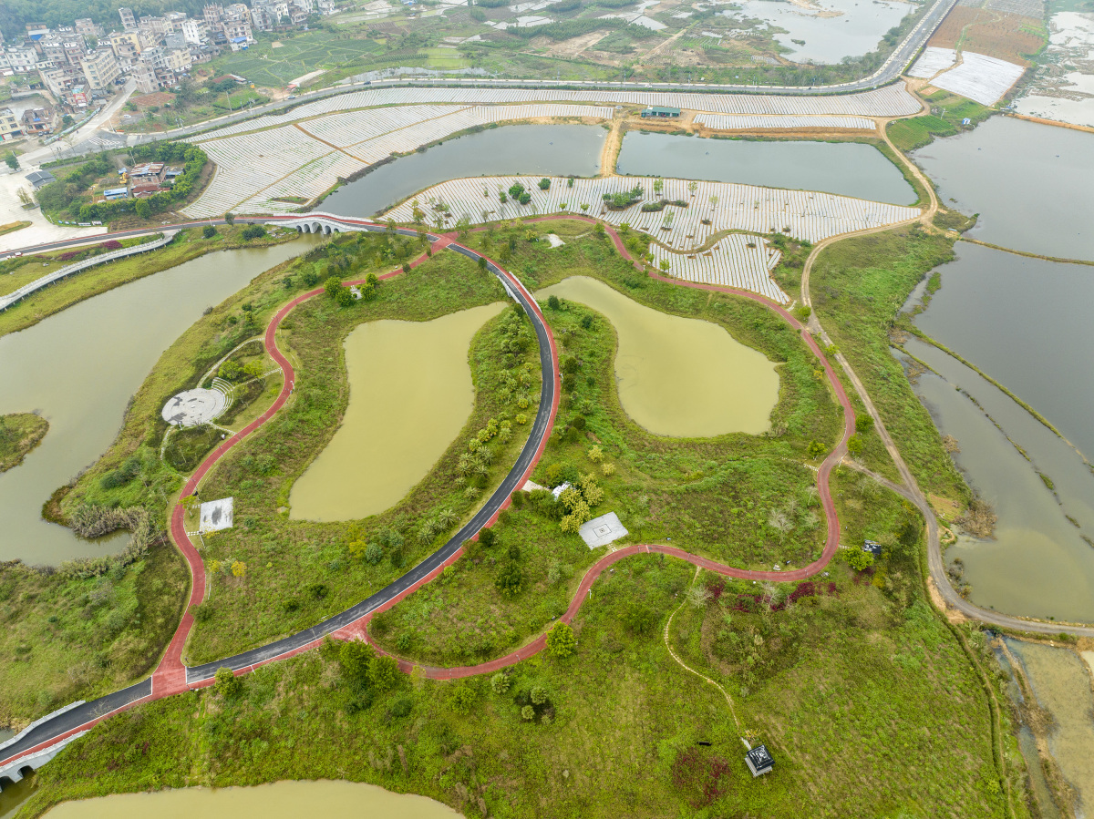 想象一下,阳光正好,微风不燥,你漫步在梅溪湖畔,眼前的湖水波光粼粼