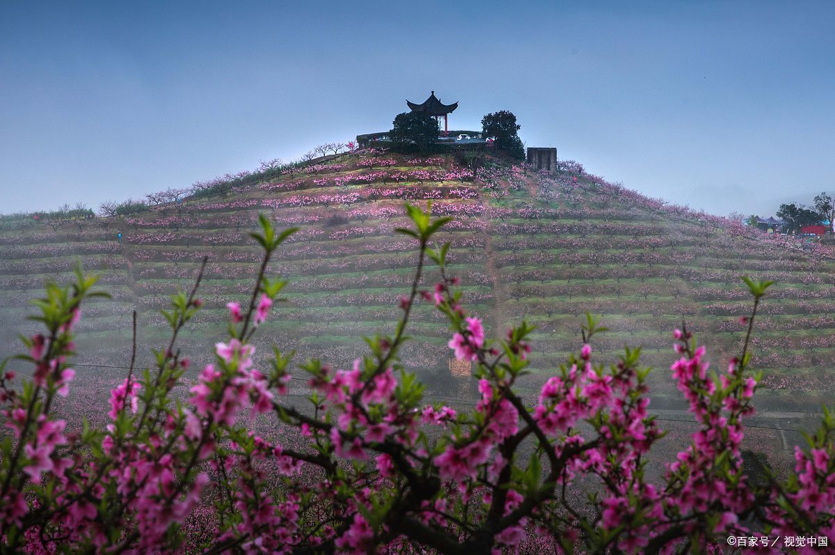 石首桃花山风景区游玩攻略