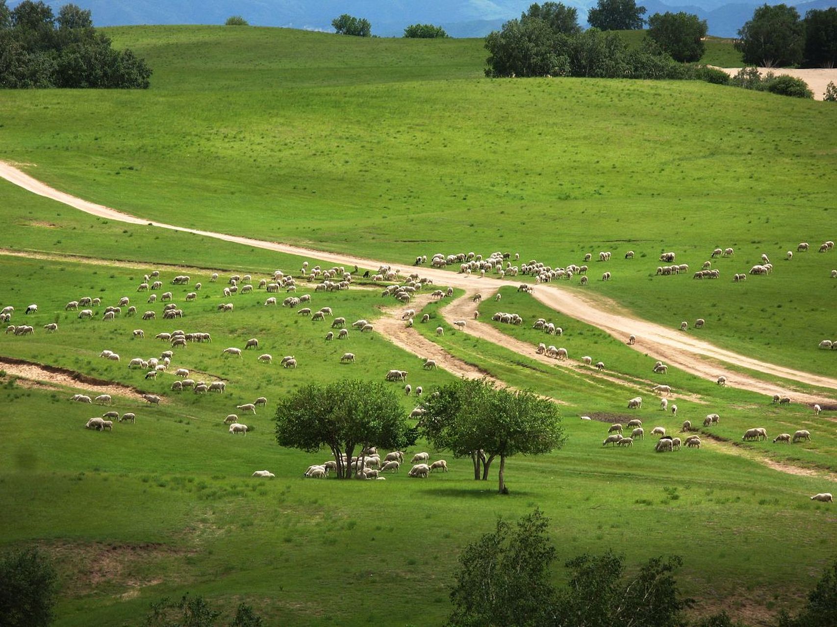 坝上草原探秘之旅,感受独特魅力与无限潜力!