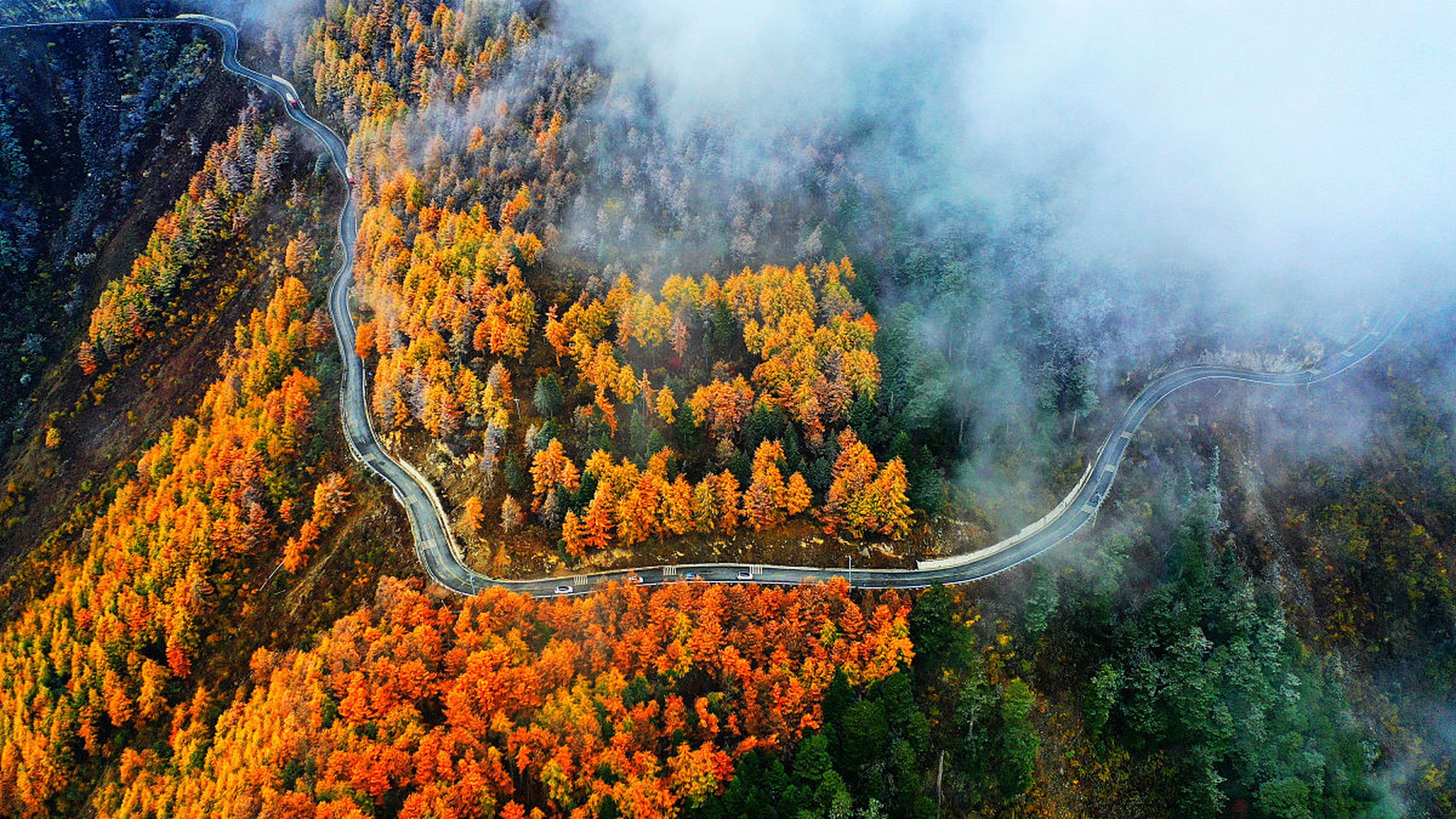 重逢巴蜀# 夹金山位于四川省雅安市宝兴县与阿坝州小金县交界处,是