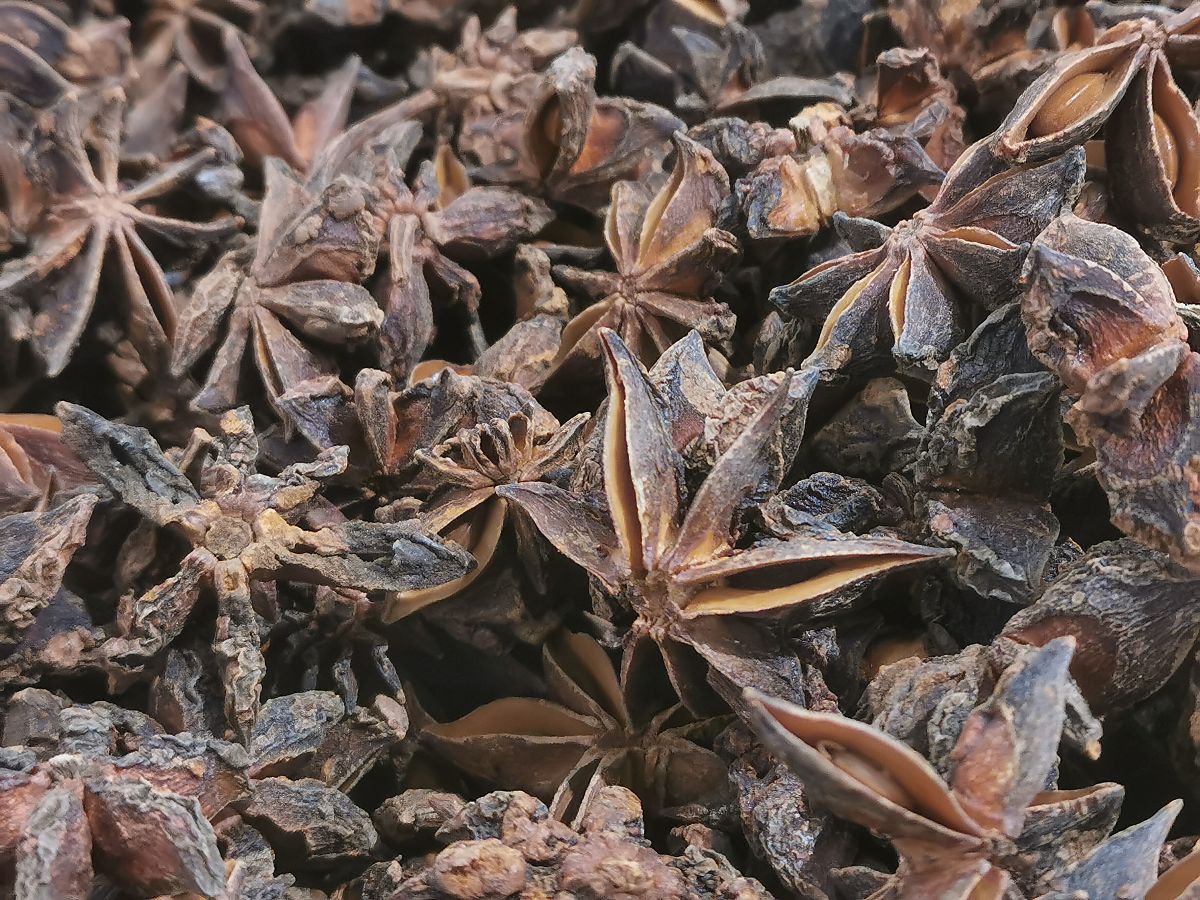 食用八角对身体有哪些好处,我们一起来探讨一下,它背后神秘功效