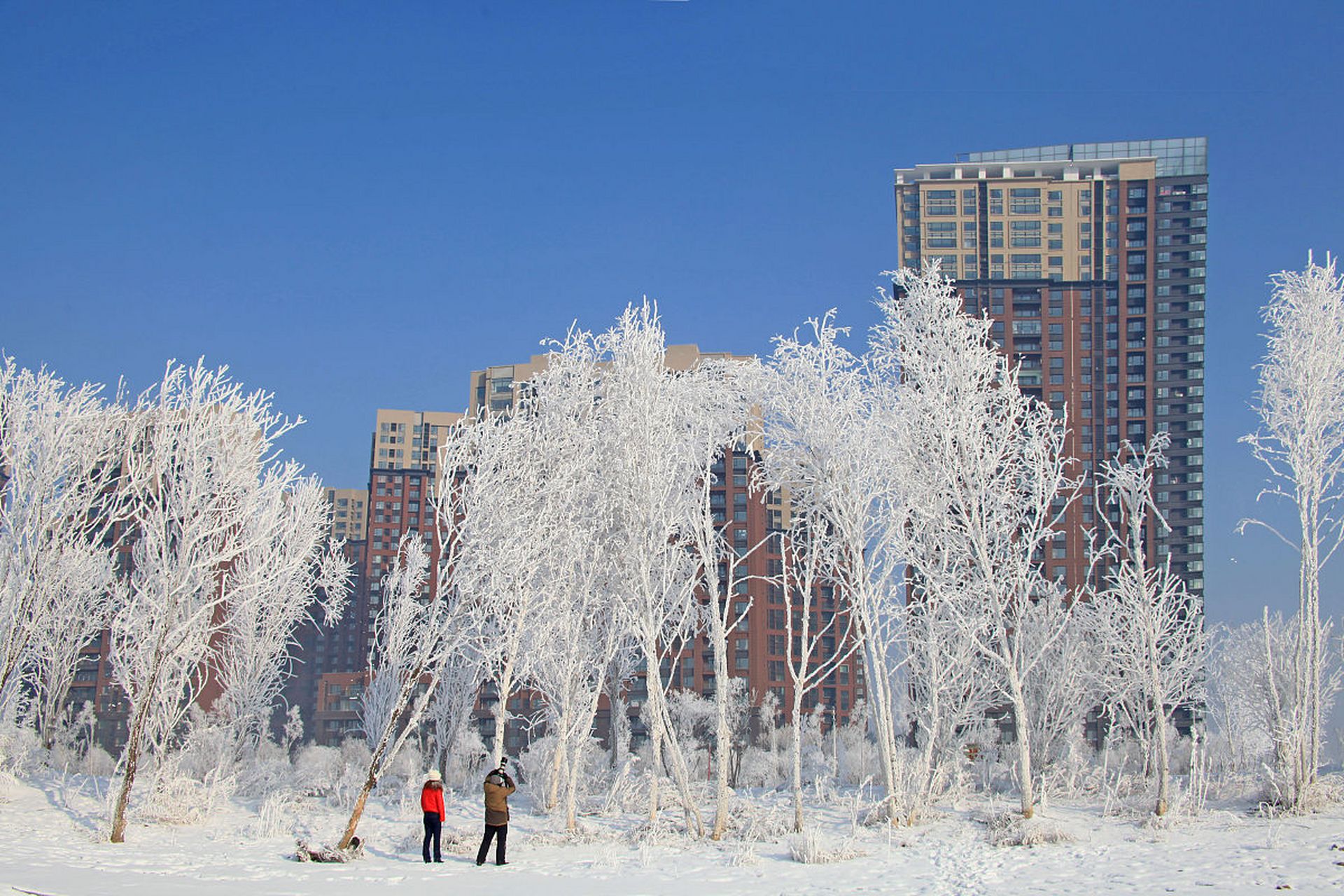 吉林松原雪景图片