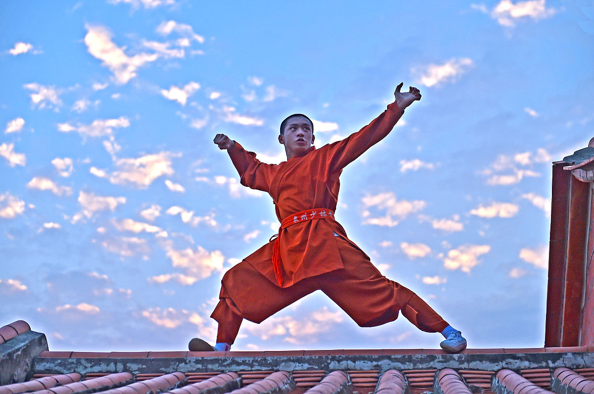 少林金刚拳十将