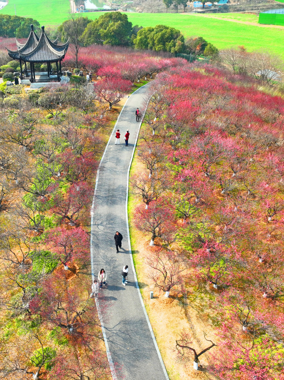 梅岭风景区以其绚丽的花卉和清新的空气吸引着无数游客前来踏春赏花