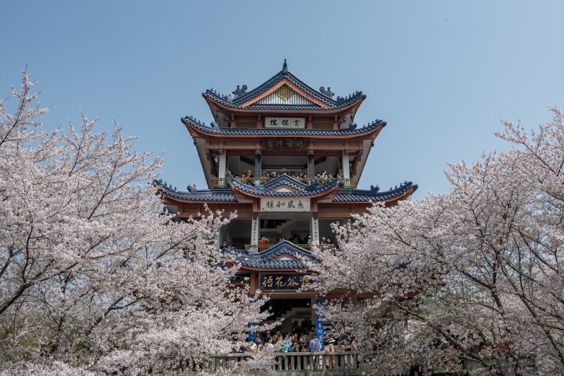 春天总要来一趟杭州# 昨儿去了趟杭州的望仙阁,真是美得不像话啊!