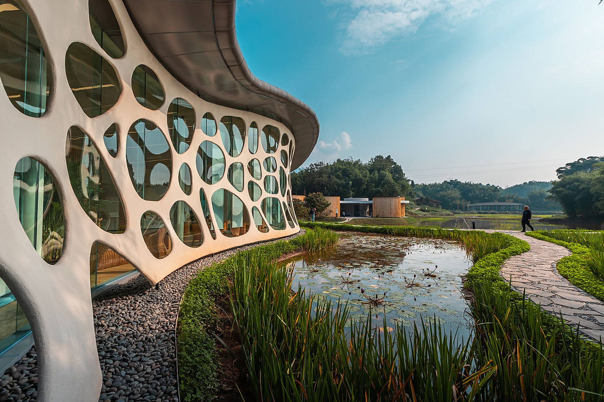 今天,我来到了成都天府新区的麓客岛,这里真是太美了!