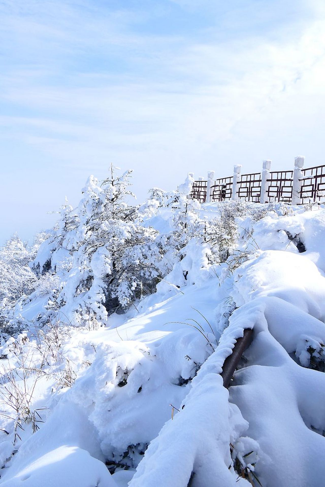 高山晶莹雪图片