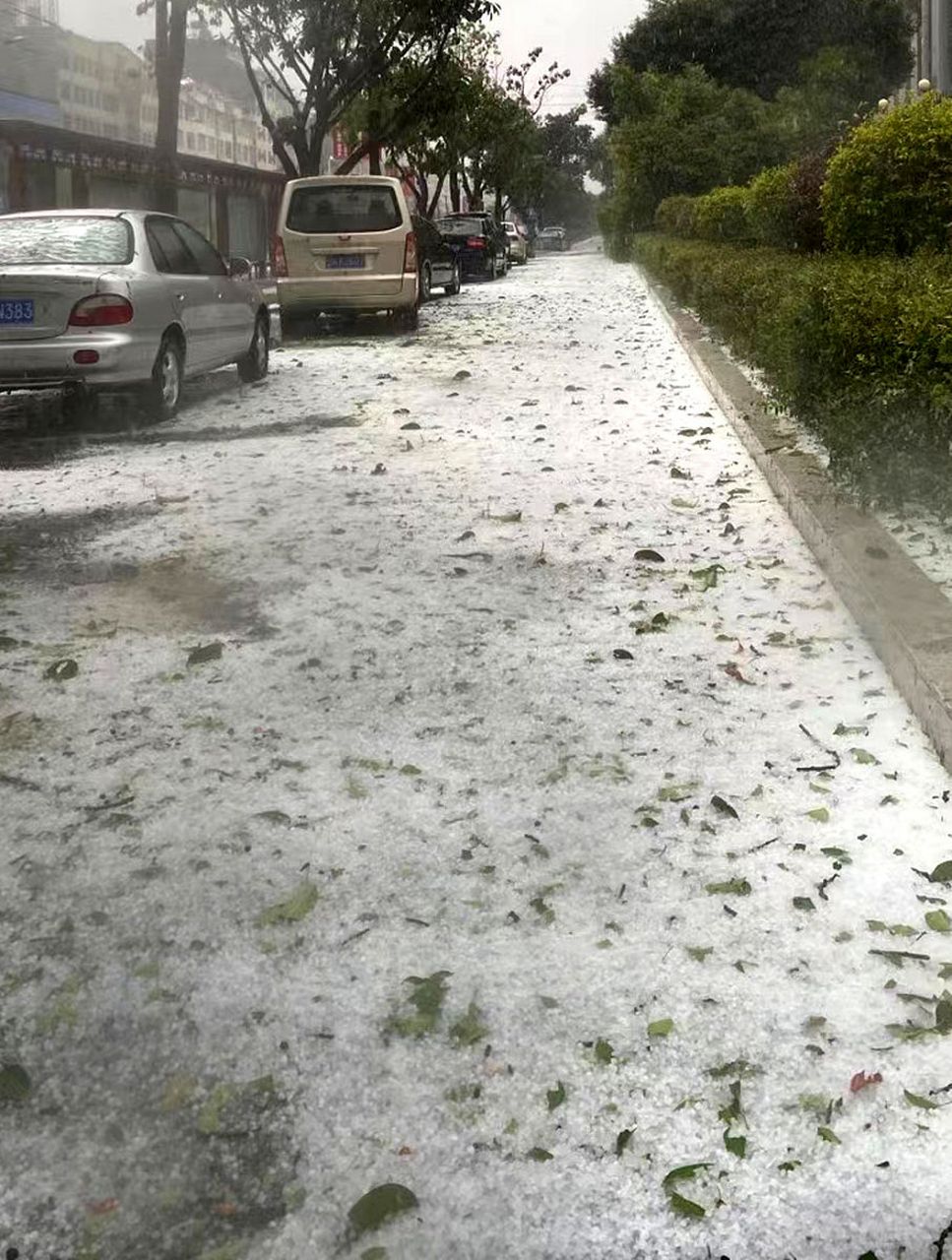 贵州遵义遇暴雨冰雹 街上冰雹流成河 冰雹有硬币大小