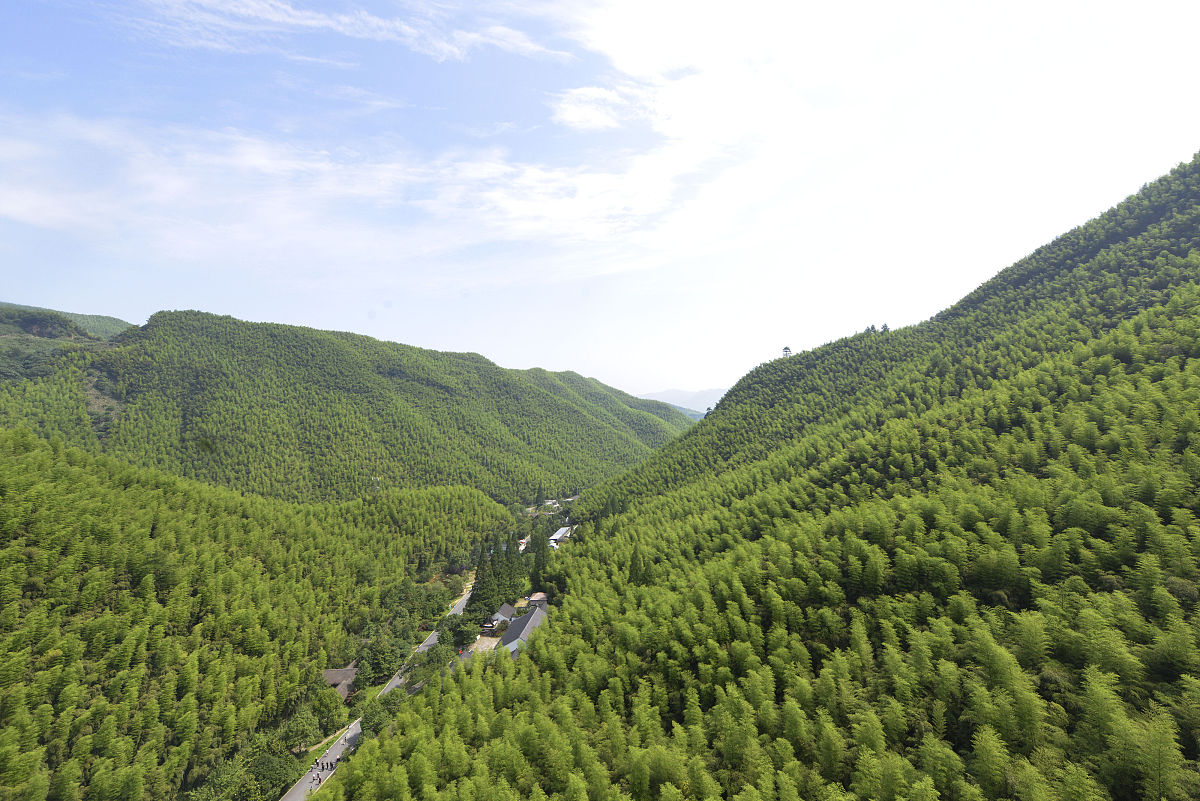 安吉大竹海:绿意盎然的自然奇观与丰富的旅游体验
