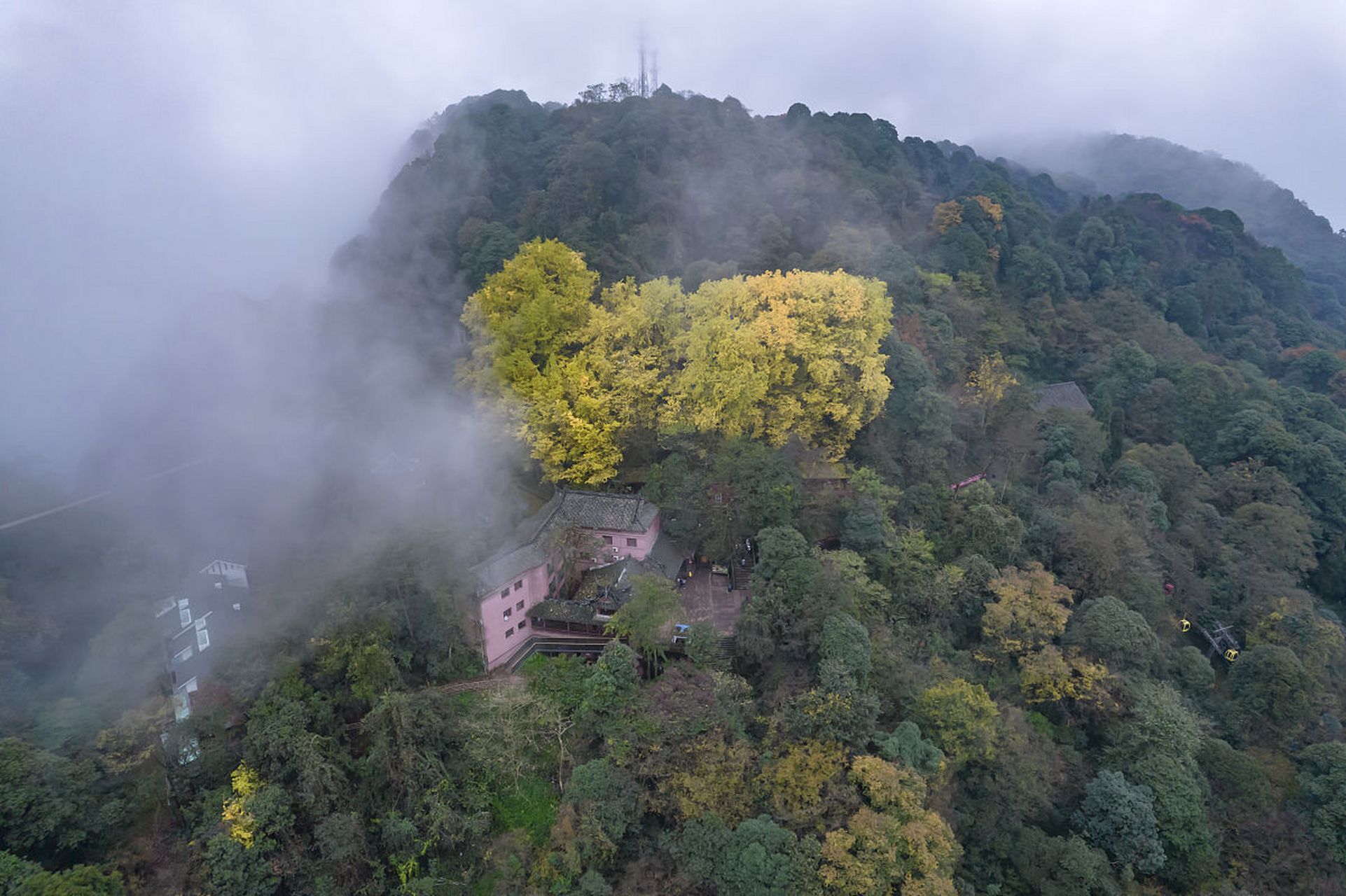 我给名山点个赞# 蒙顶山海拔1456米,距成都110公里,位于雅安市名山区