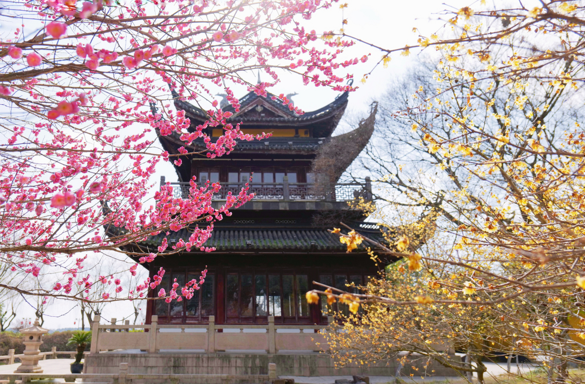 春天总要来一趟杭州# 昨儿去了趟杭州的望仙阁,真是美得不像话啊!