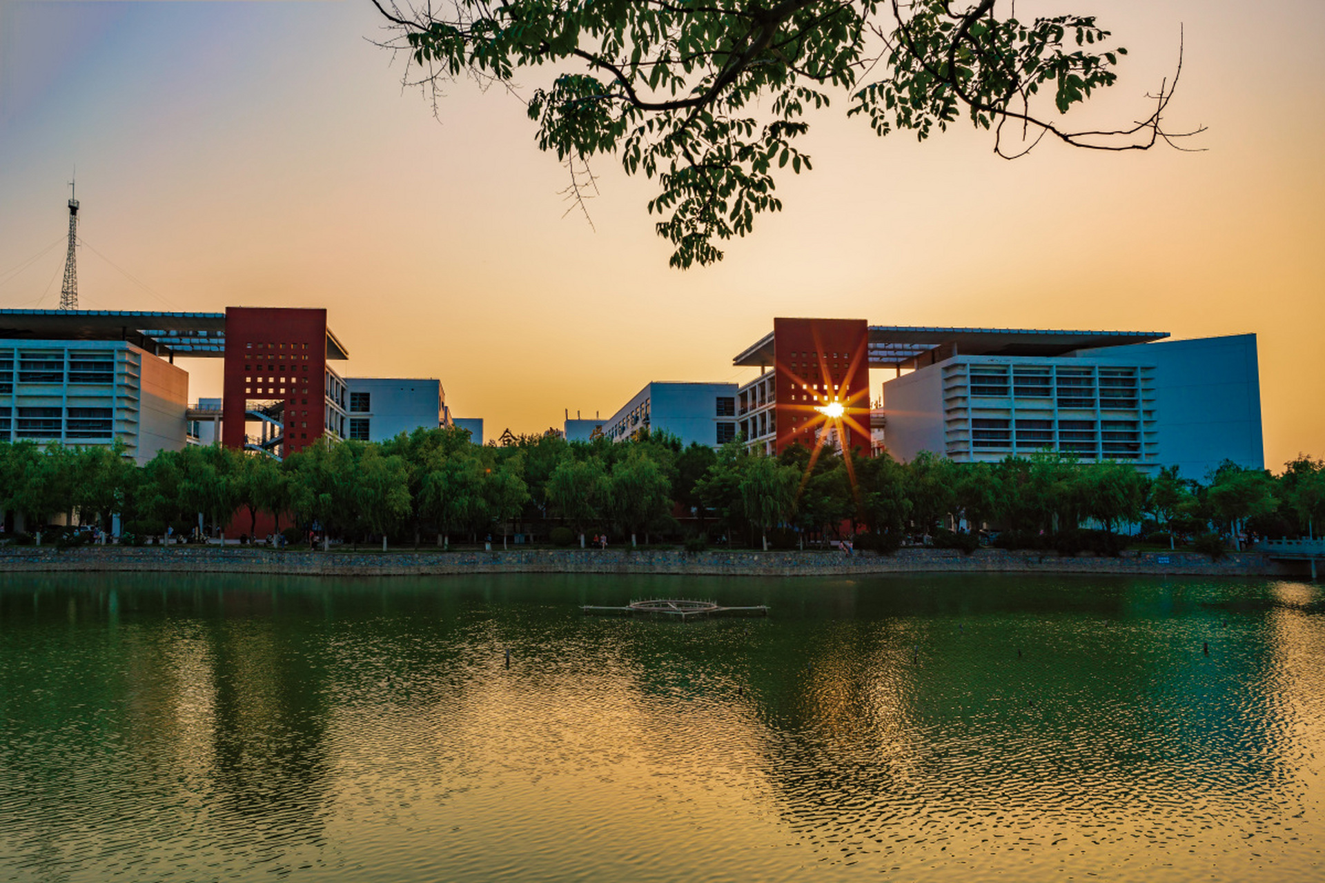 河南大学是位于中国中部的一所优秀学府,一直以来以其卓越的教育质量