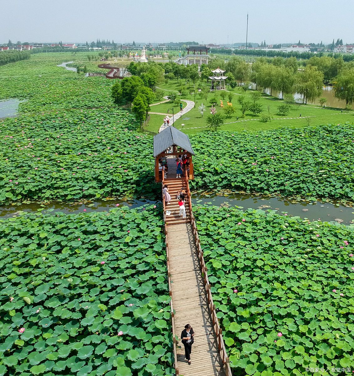 苏州莲花岛景区图片