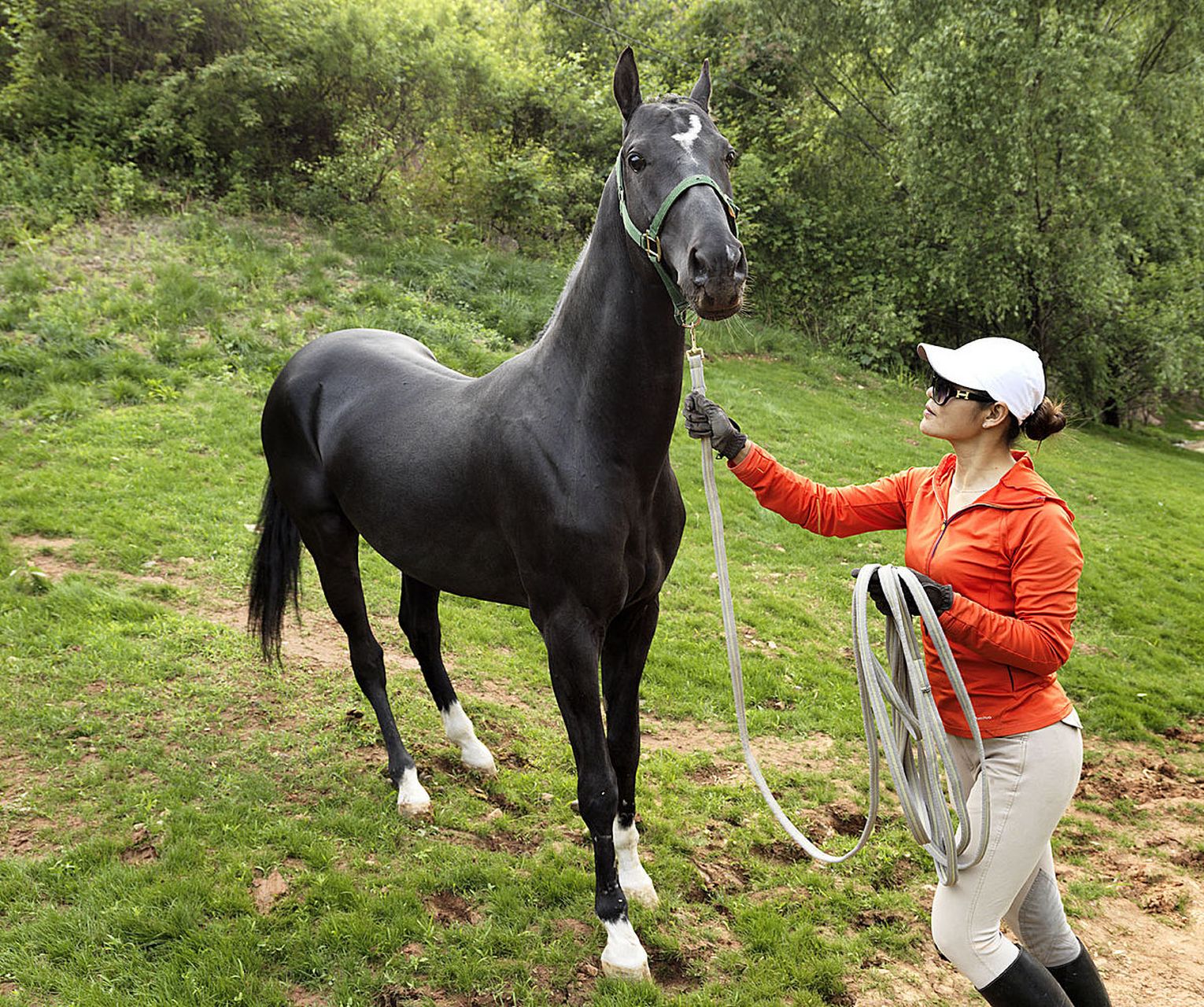 它们以豪情万丈的姿态,激发了人们对自由的向往.#动物趣图