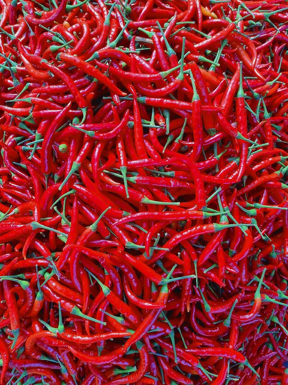 今天,我要揭开一个美食界的神秘面纱,那就是食