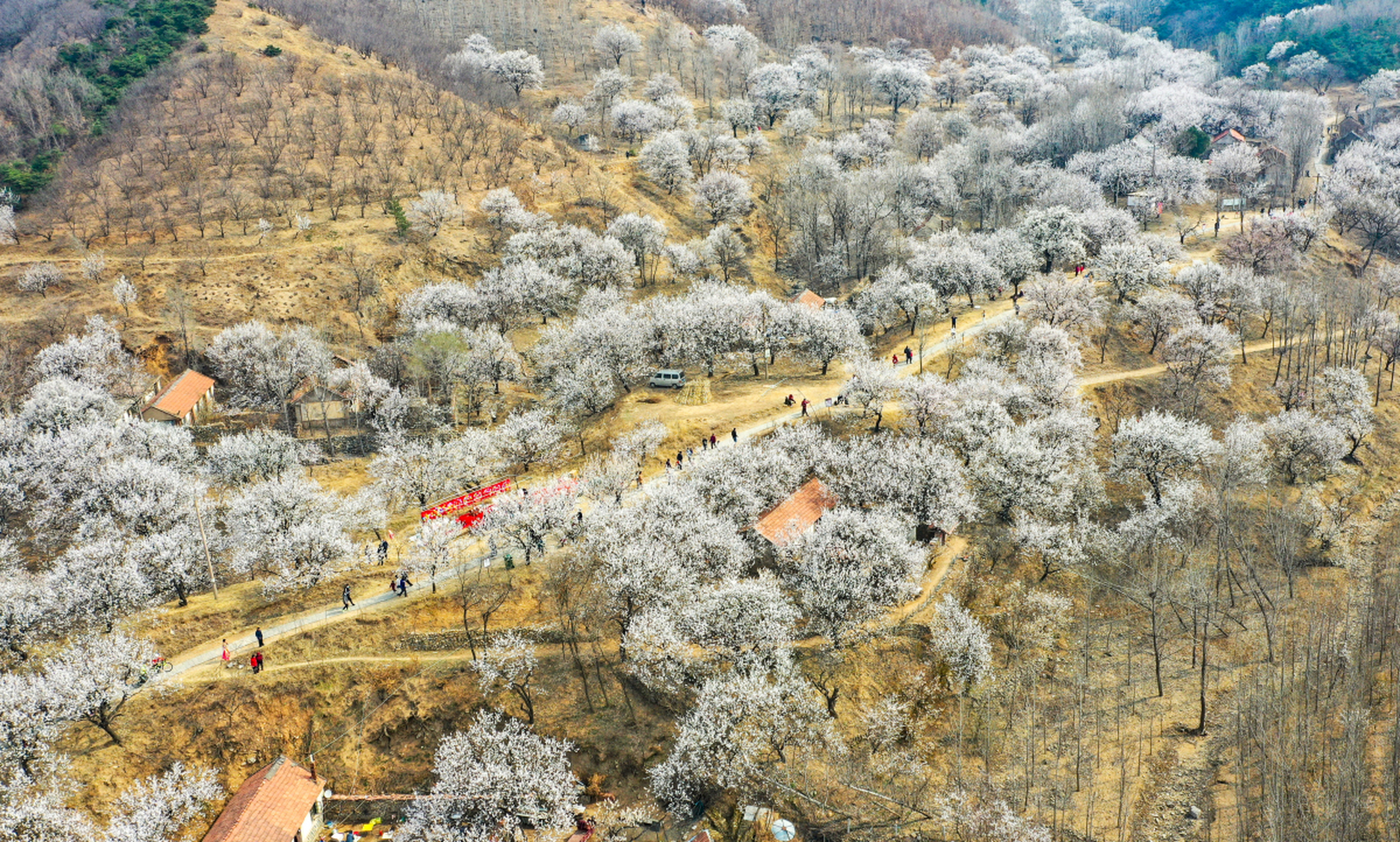 简阳梨花沟风景区图片图片